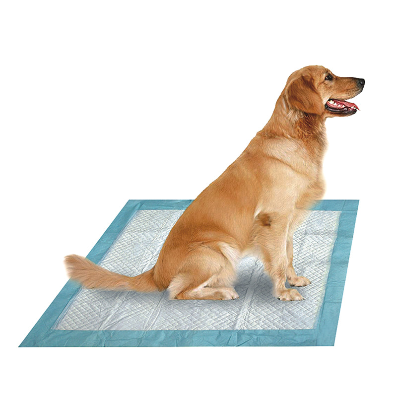 Pad pentru animale de companie